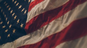 Newsletter - January 2012